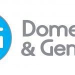domestic and general logo